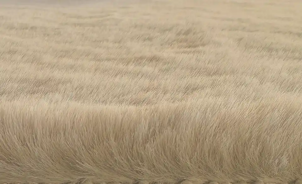 como Kunstfell Bunny Soft 60 x 90, Detailansicht