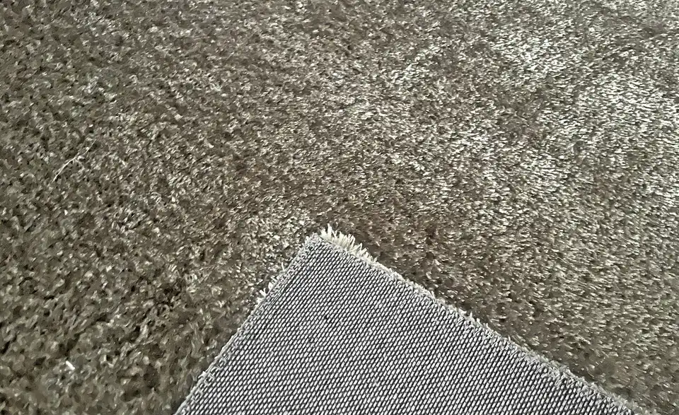 como Shaggy Macio, Detailansicht