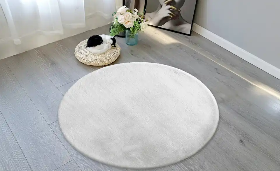 como Hochflorteppich Bunny, in Wohnsituation