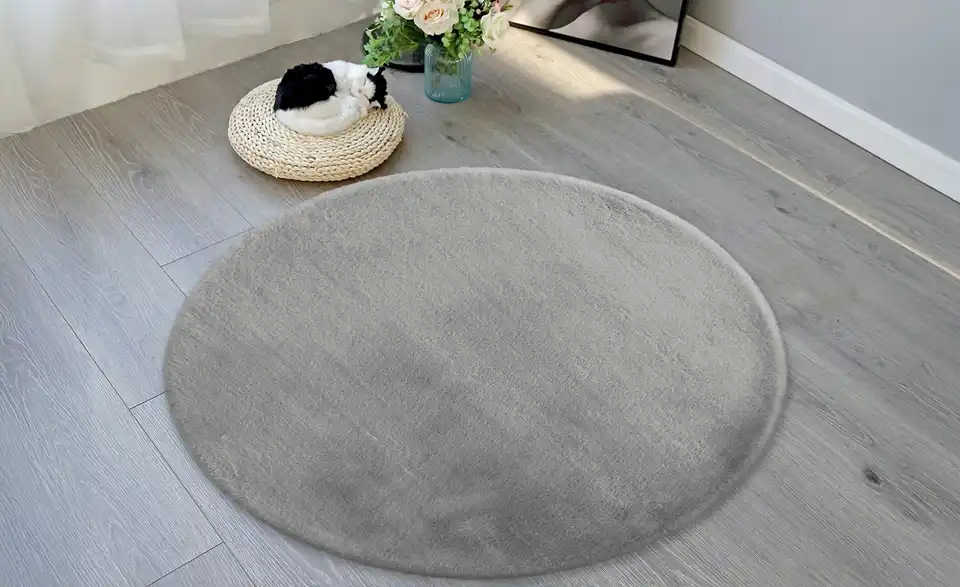 como Hochflorteppich Bunny, in Wohnsituation