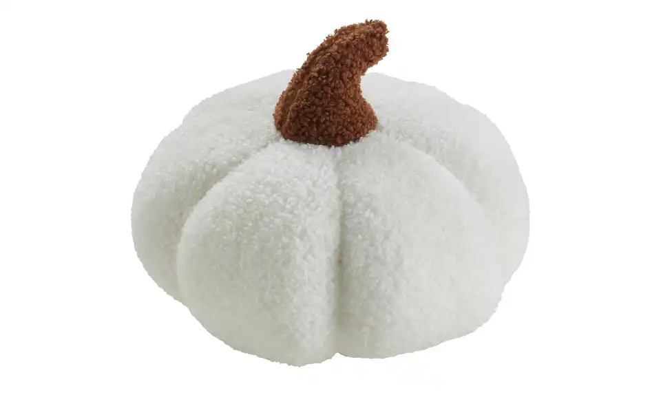 Kürbis