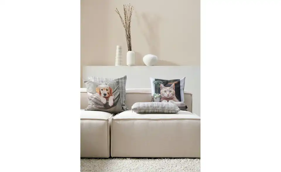 Apelt Kissen, in Wohnsituation