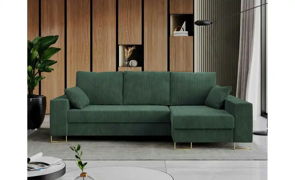 Ecksofa Grün, in Wohnsituation