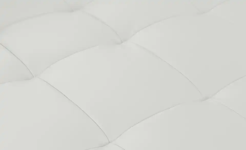 vito Ecksofa Ticona aus Leder, Detailansicht