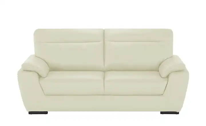  Sofa aus Leder Brandy II