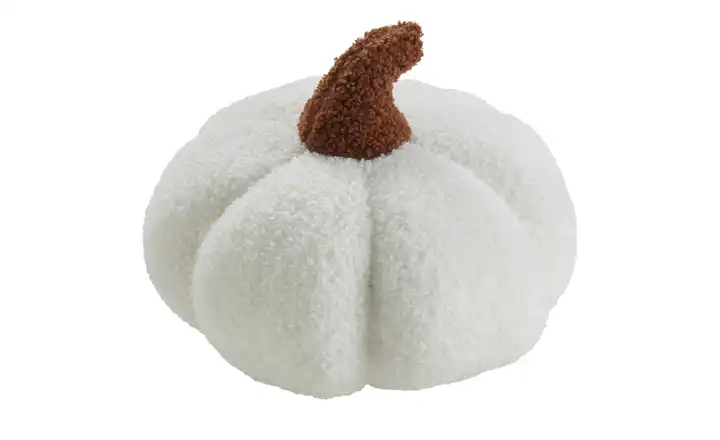  Kissen  Kürbis