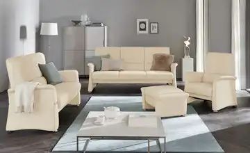 Ledersessel  6001 himolla