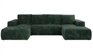  Wohnlandschaft Grün  